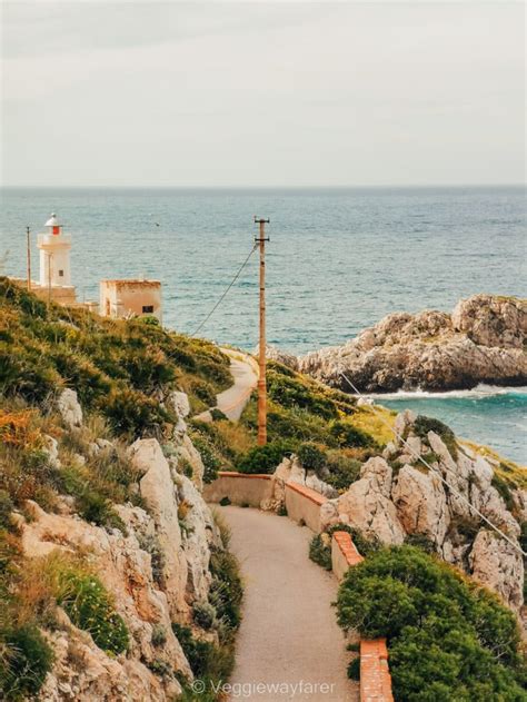 Cruising Towards Capo Zafferano