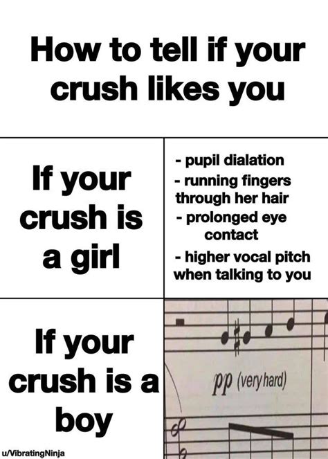 Crush Memes Reddit