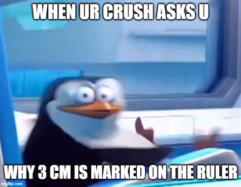 Crush Ruler Meme