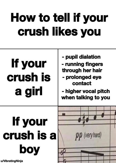 Crush You Meme