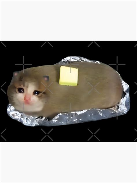 Crying Cat Meme Butter