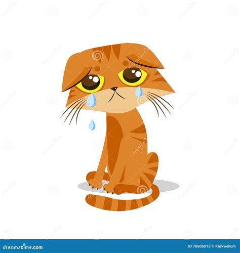 Crying Cat Meme Cartoon