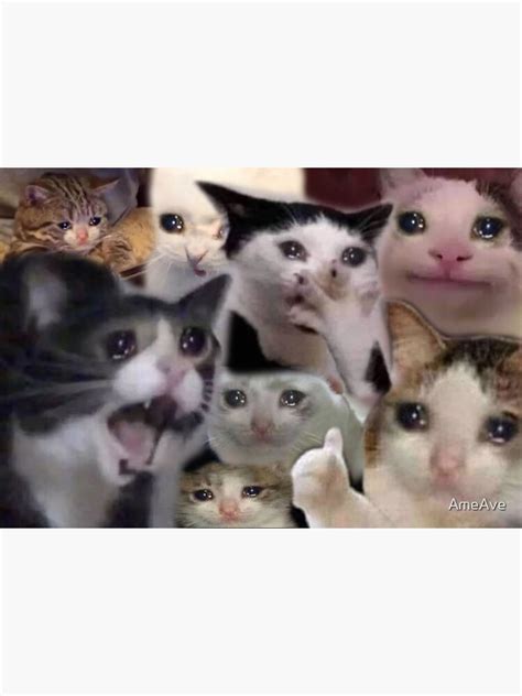 Crying Cat Meme Collage
