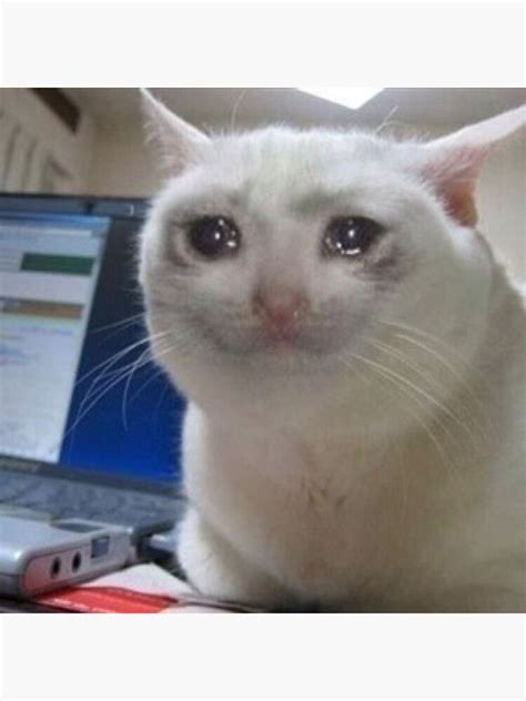 Crying Cat Meme Computer