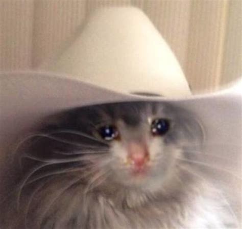 Crying Cat Meme Cowboy Hat