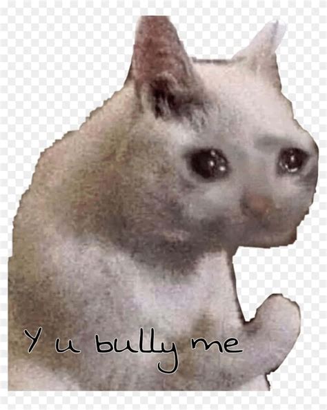 Crying Cat Meme Cursed