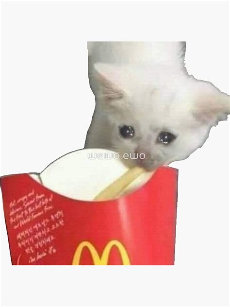 Crying Cat Meme French Fry