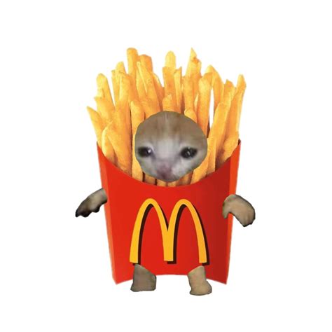 Crying Cat Meme Fries