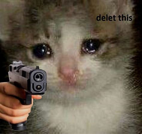 Crying Cat Meme Gun