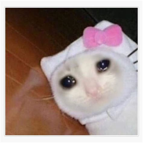 Crying Cat Meme Hello Kitty