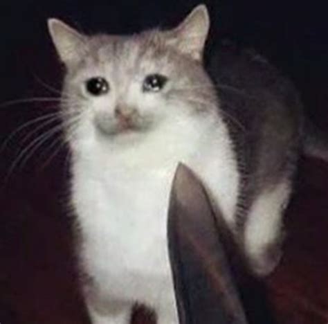 Crying Cat Meme Knife