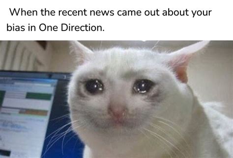 Crying Cat Meme Maker