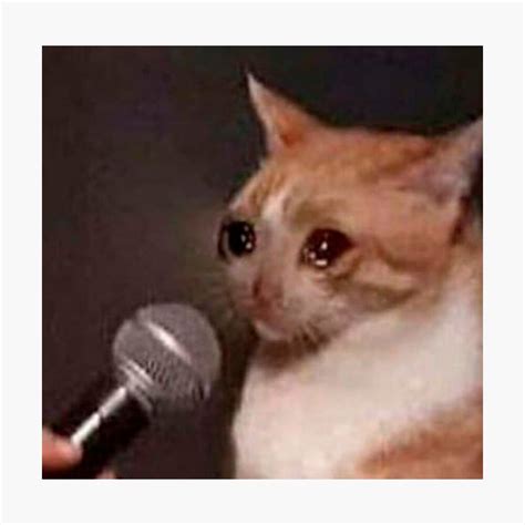 Crying Cat Meme Mic