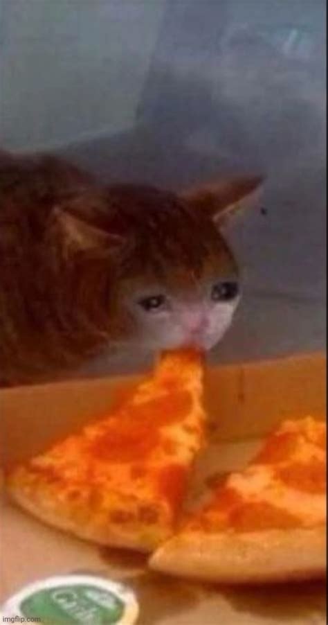 Crying Cat Meme Pizza