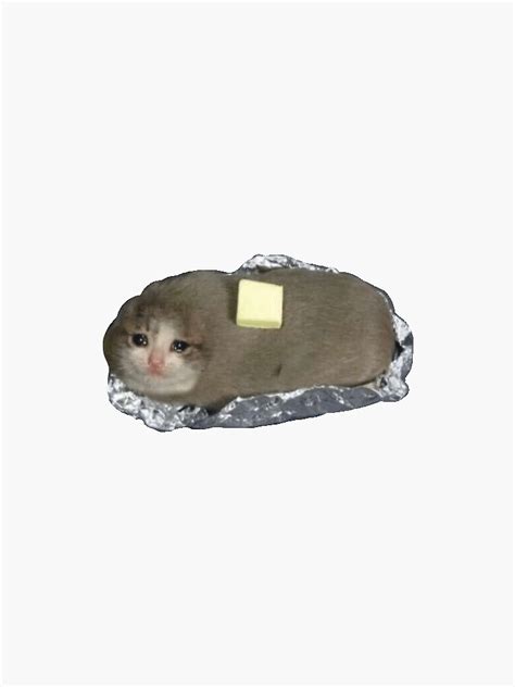Crying Cat Meme Potato