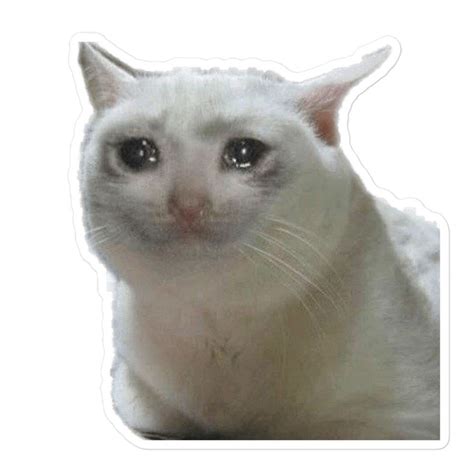Crying Cat Meme Sticker