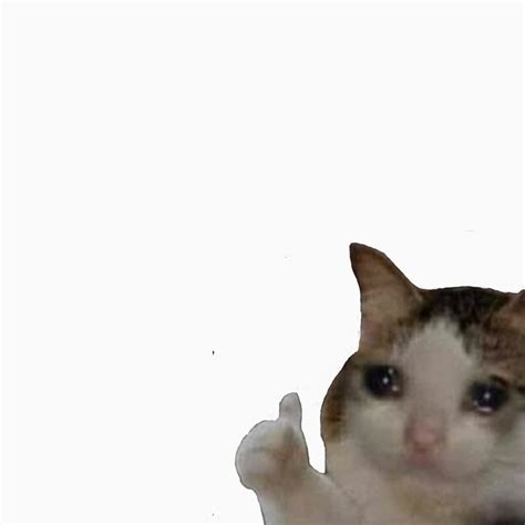 Crying Cat Meme Thumbs Up
