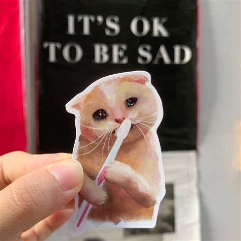 Crying Cat Meme Toothbrush