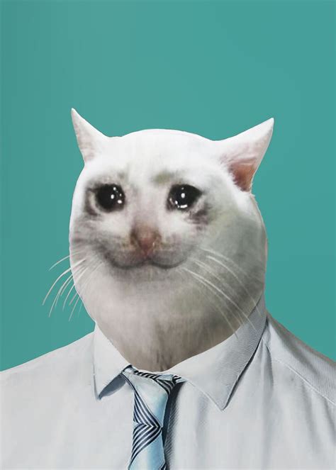 Crying Cat Meme Work