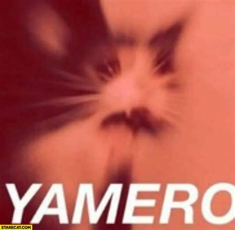Crying Cat Meme Yamero