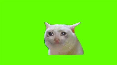 Crying Meme Download Mp4
