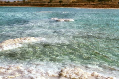 Crystal Beach Dead Sea