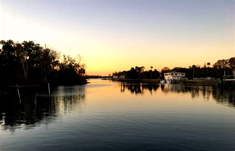 Crystal River Sunset Cruise: A Detailed Review and Guide