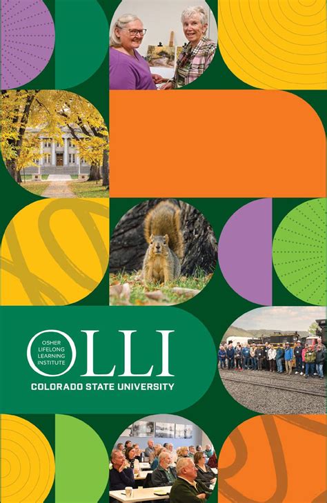 Csu Major Catalog