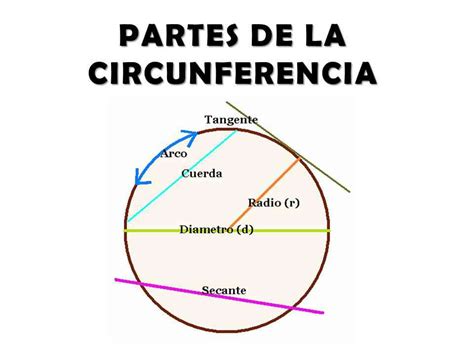 Útil! Perímetro de un polígono. Longitud de la circunferencia. Longitud