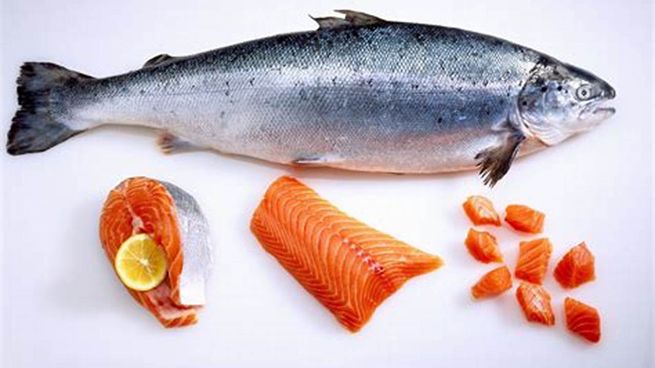Cuci Bersih Ikan Salmon. Cuci Bersih Ikan Salmon Dengan Air Dingin Dan Keringkan Dengan Handuk Kertas., Resep7-10k