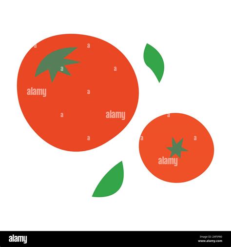 Culinary Versatility of Tomatoes