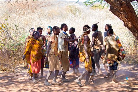 Cultural Tours