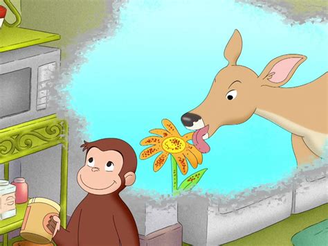 Curious George Lessons