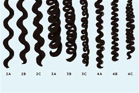 Curl Types and What They Mean