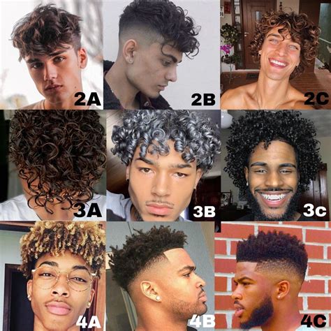Curly Hair Chart Men