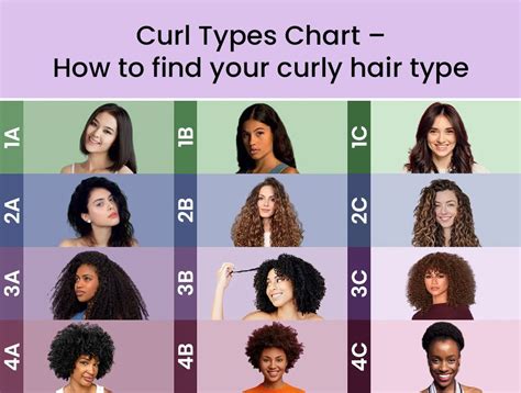 Curly Hair Levels: A Comprehensive Guide