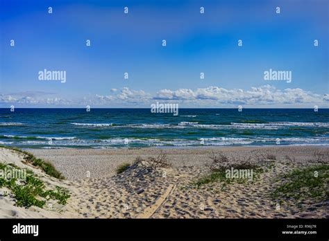 Curonian Spit Nature