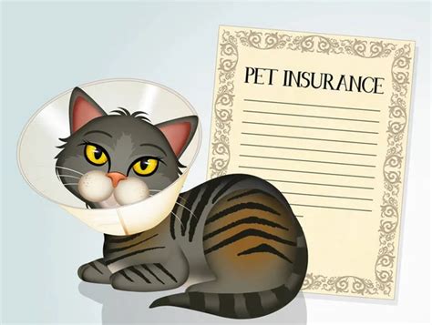 Pet Insurance Top 10 Benefits of Pet Insurance from a Vet’s Point of