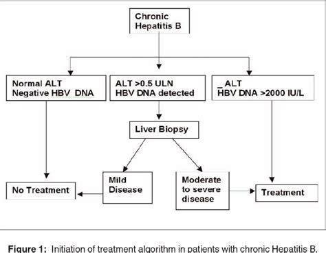 Current Effective Hepatitis B Treatment Options