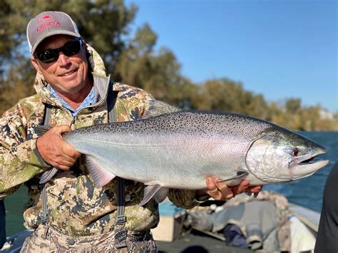 Current Fishing Report on Sacramento River