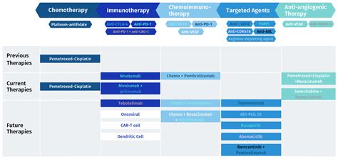 Current Treatment Landscape