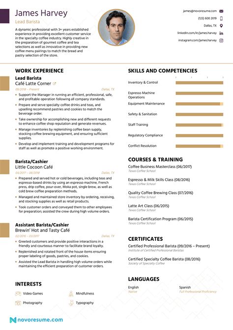 Sample Resume Templates For Experienced It Professionals Temiarianab