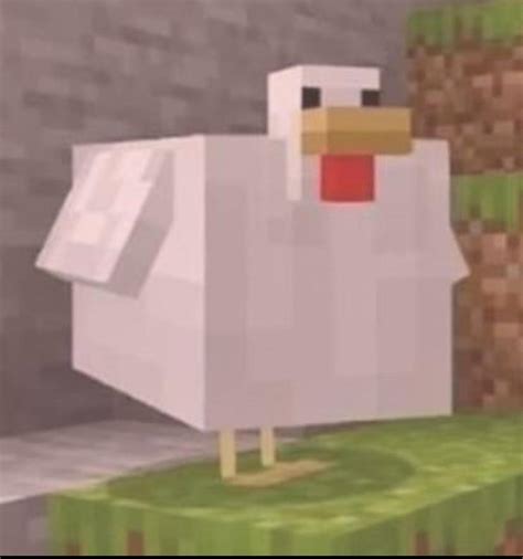 Cursed Images Minecraft Chicken
