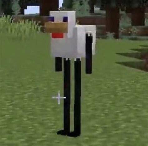 Cursed Images Minecraft Edition