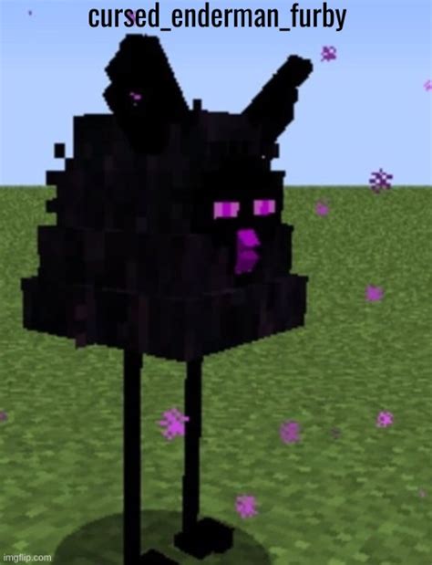 Cursed Images Minecraft Enderman