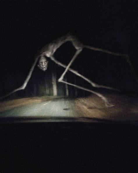 Cursed Images Scary Trevor