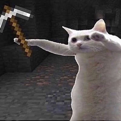 Cursed Minecraft Cat Images