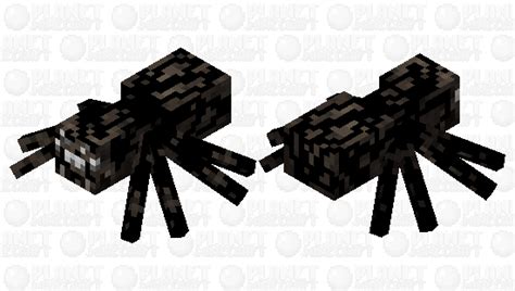 Cursed Minecraft Spider