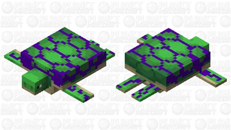 Cursed Minecraft Turtle