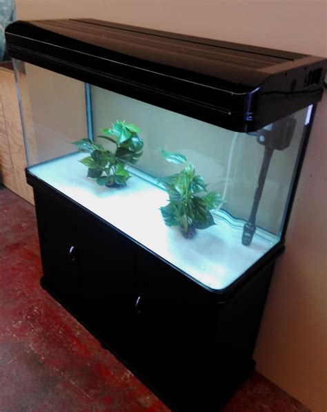 Curved Fish Tank